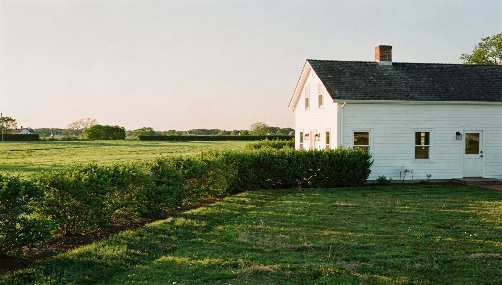 Water Mill